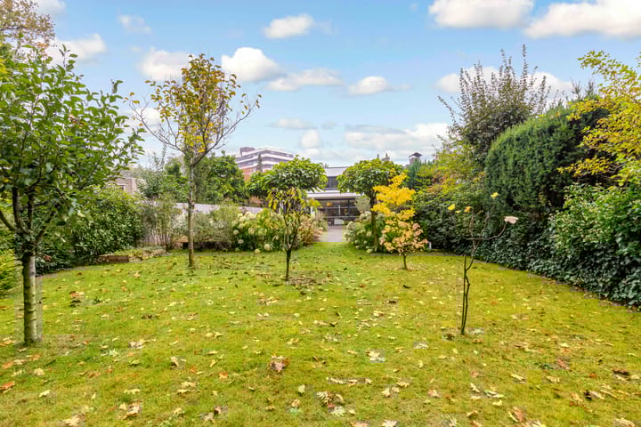 Foto 42 van Bosuillaan 50