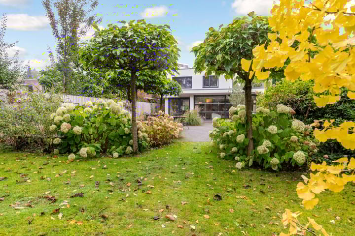 Foto 49 van Bosuillaan 50