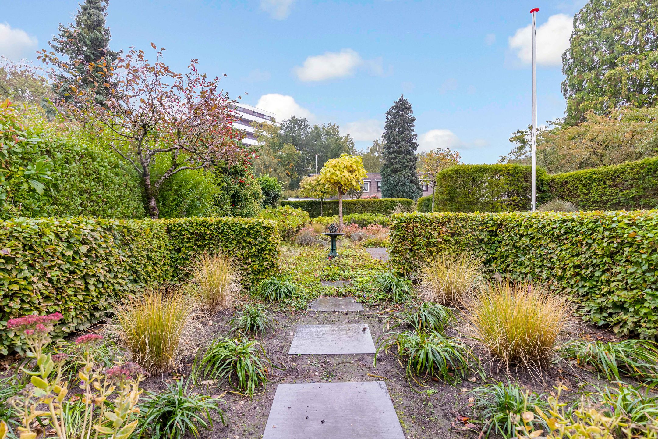 Photo 51 of Bosuillaan 50