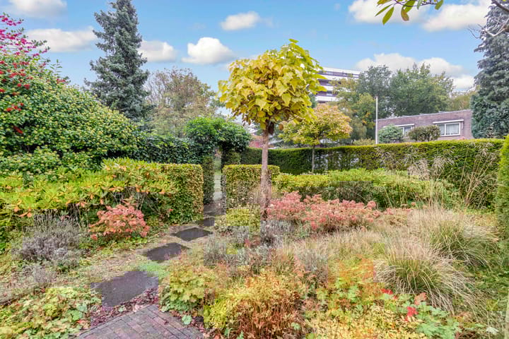 Foto 52 van Bosuillaan 50