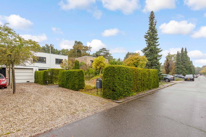 Foto 53 van Bosuillaan 50