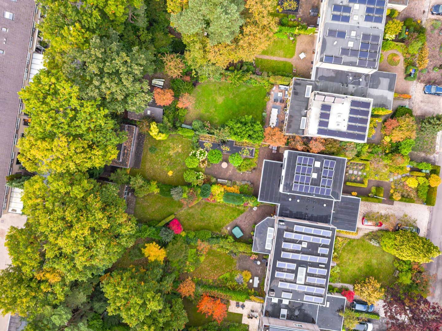 Photo 55 of Bosuillaan 50