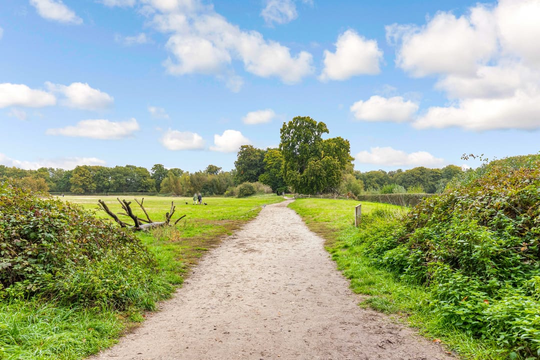 Photo 58 of Bosuillaan 50