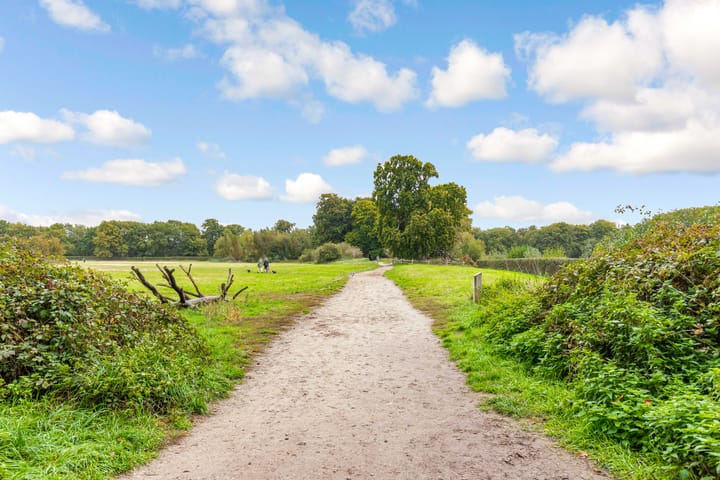 Foto 58 van Bosuillaan 50