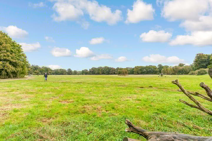 Foto 59 van Bosuillaan 50