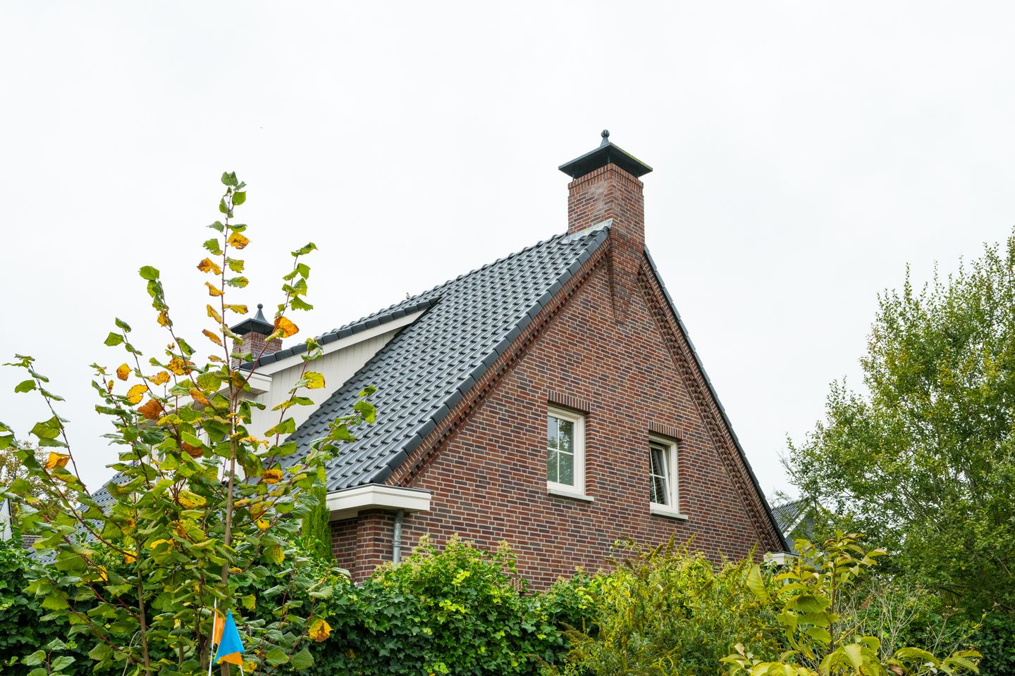 Photo 50 of Freule van Dorthstraat 70