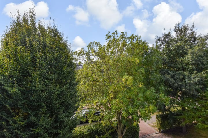 Foto 56 van Hof van Naeltwijck 21