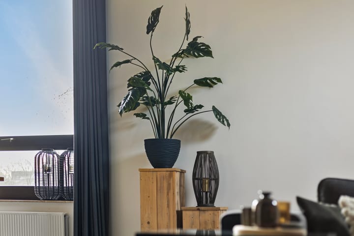 Foto 21 van Wolter ten Catestraat 59-K