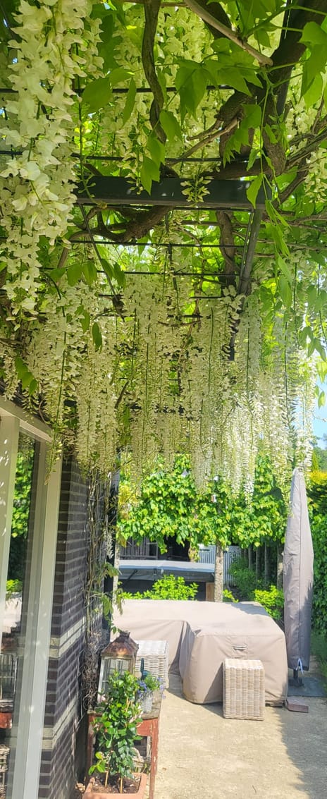 Albatroslaan 148 tertiary image