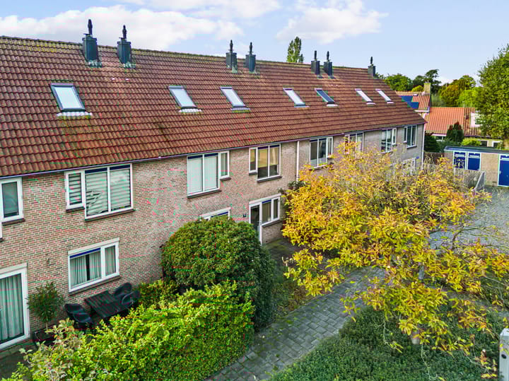 Foto 2 van Rozeknop 21