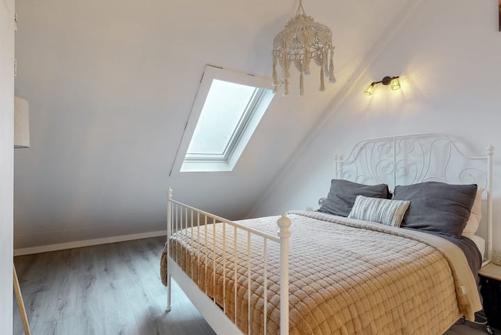 Foto 19 van Rozeknop 21