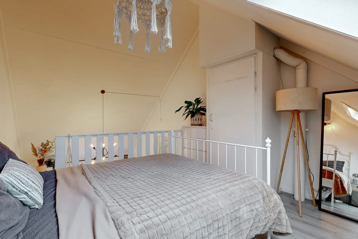 Foto 20 van Rozeknop 21