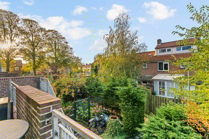 Foto 21 van Rozeknop 21