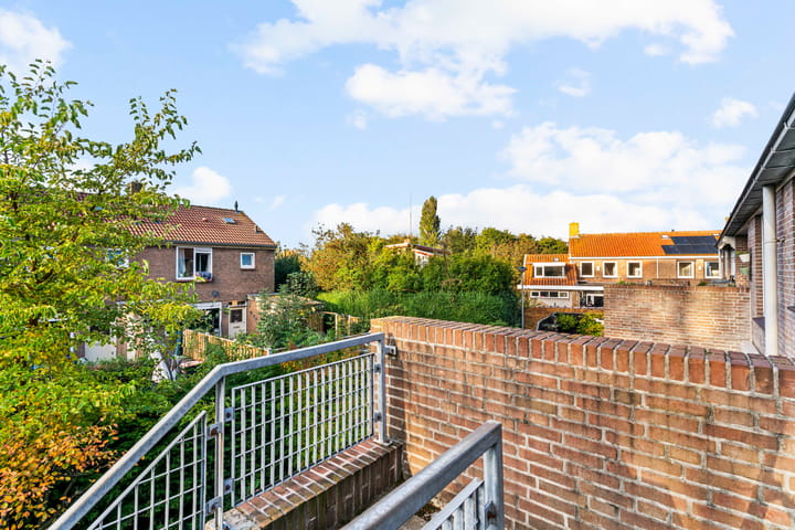 Foto 25 van Rozeknop 21