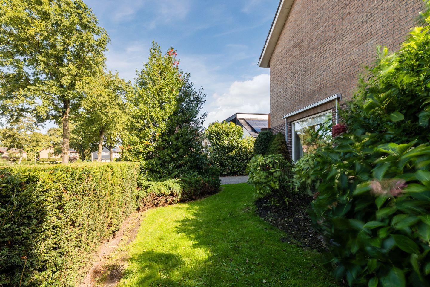 Photo 40 of Eisenhowerstraat 29