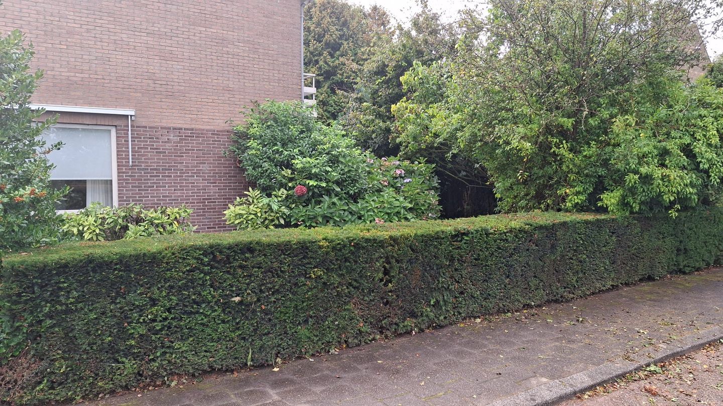 Photo 55 of Eisenhowerstraat 29