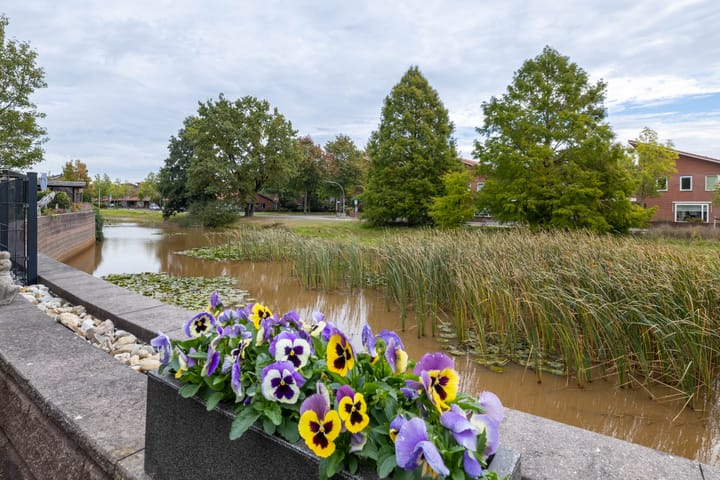 Foto 25 van Slangemuur 32