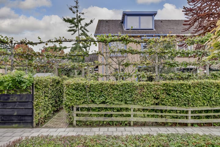 Foto 47 van Hugo de Grootweg 21