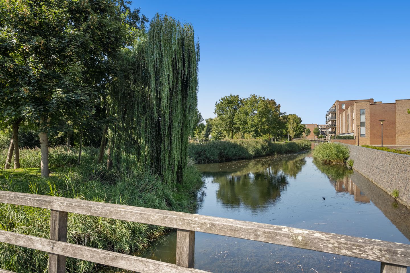 Foto 34 van Rozenhout 36