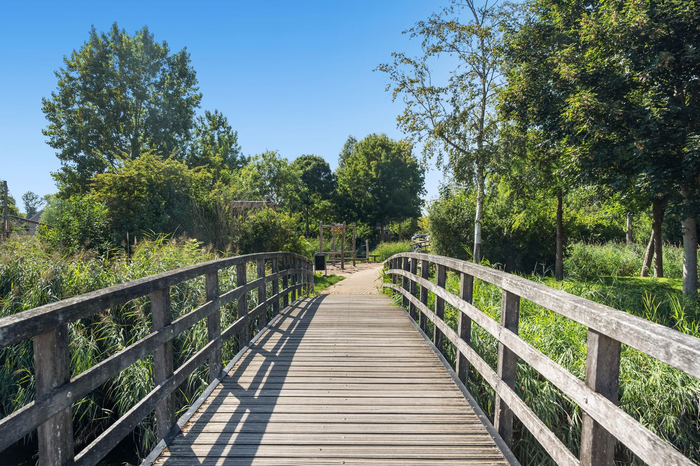 Foto 35 van Rozenhout 36