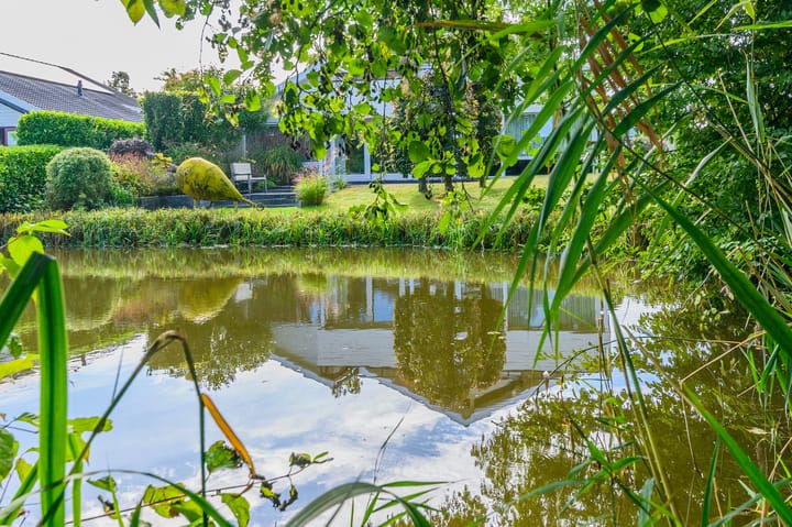 Foto 17 van Dopheide 36