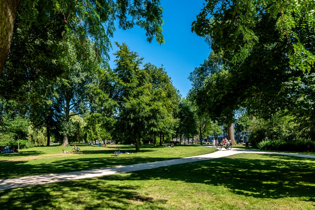 Foto 23 van Van Bossestraat 42-1