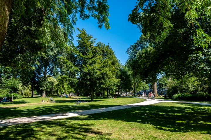 Foto 23 van Van Bossestraat 42-1