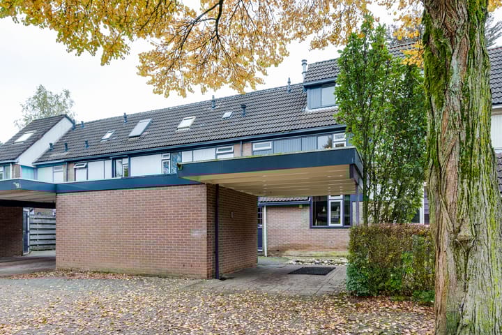 Foto 2 van Salemate 60