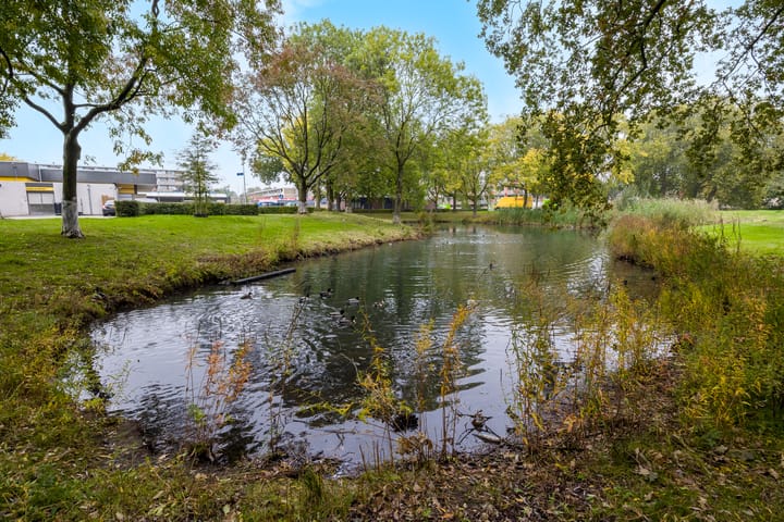 Photo 36 of Malvert 7392