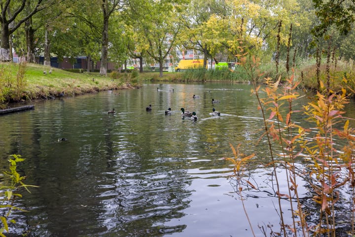 Photo 37 of Malvert 7392