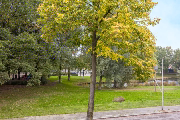 Photo 39 of Malvert 7392