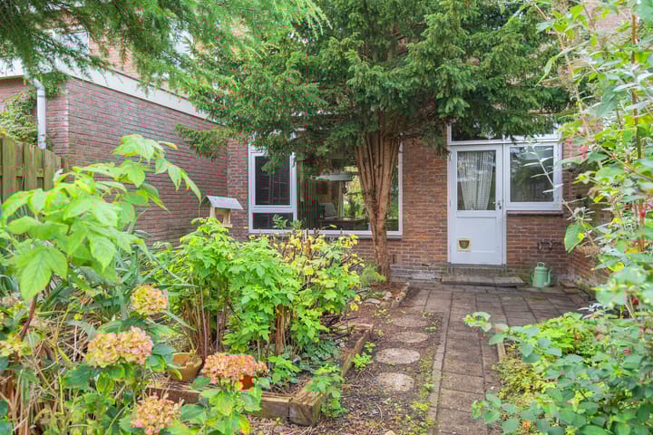 Foto 38 van Willem van Velsenstraat 9