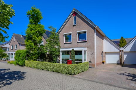 Galjoen 19 thumbnail