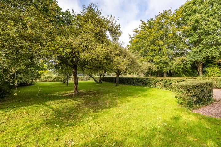 Photo 5 of Rijksstraatweg 10