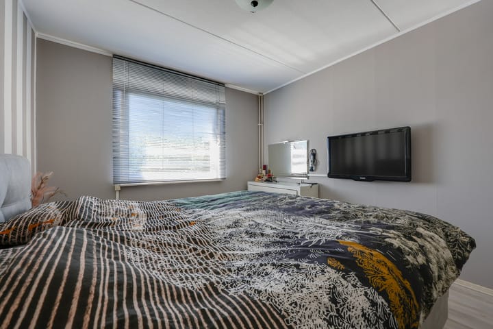 Foto 21 van Galjoen 19 14