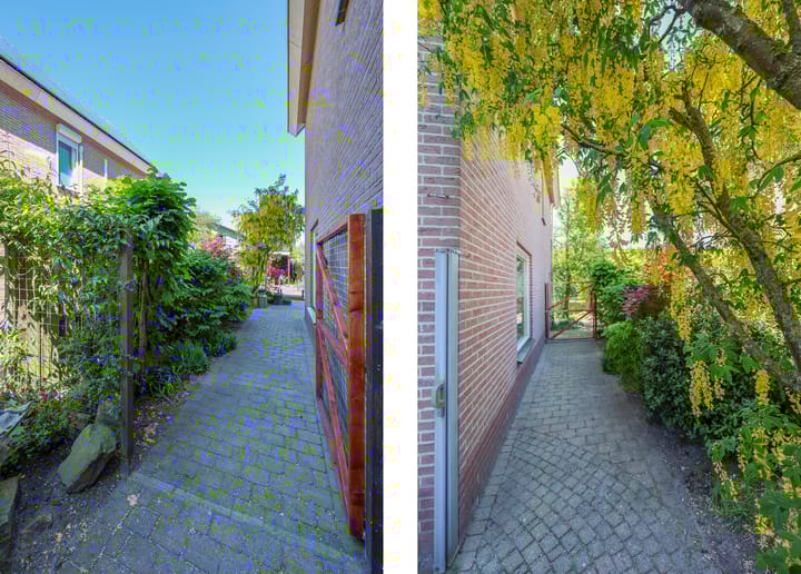 Foto 40 van Galjoen 19 14