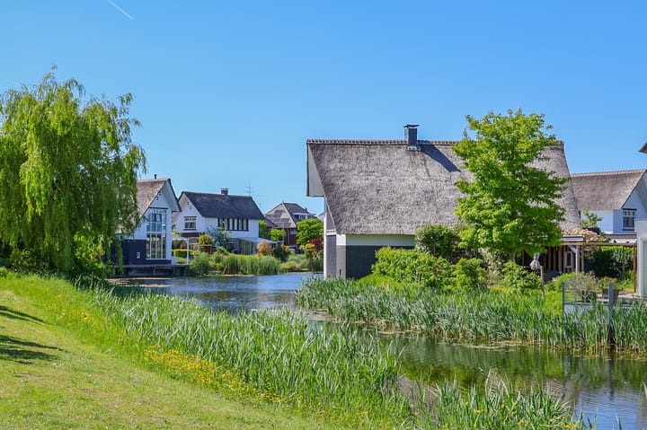 Foto 50 van Galjoen 19 14