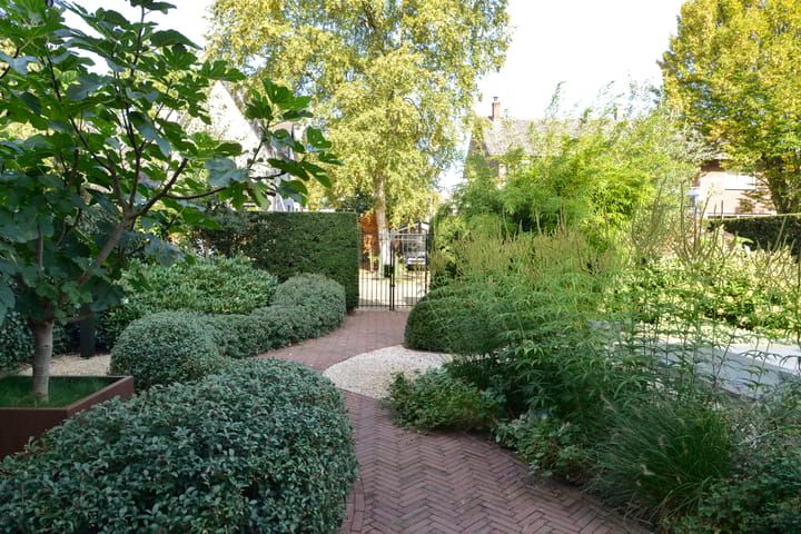 Foto 3 van Sophialaan 15