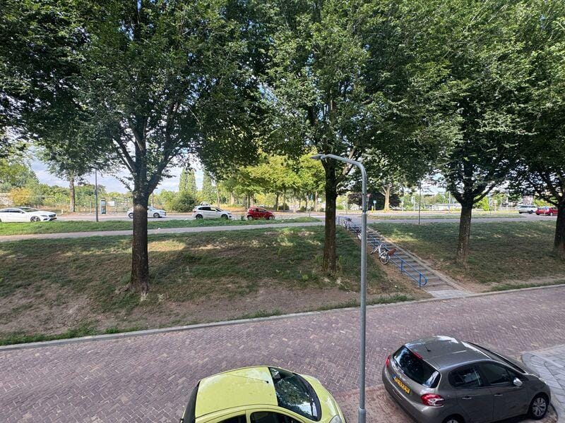 Foto 11 van Noordendijk 551