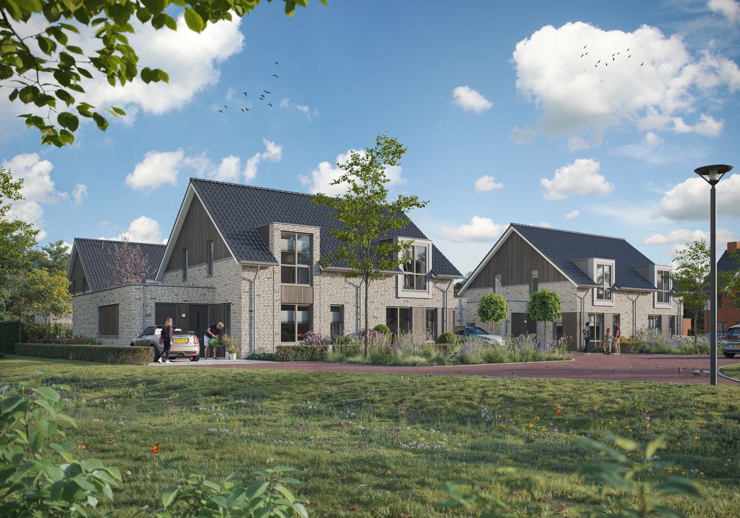 Foto 3 van 't Veld fase 4