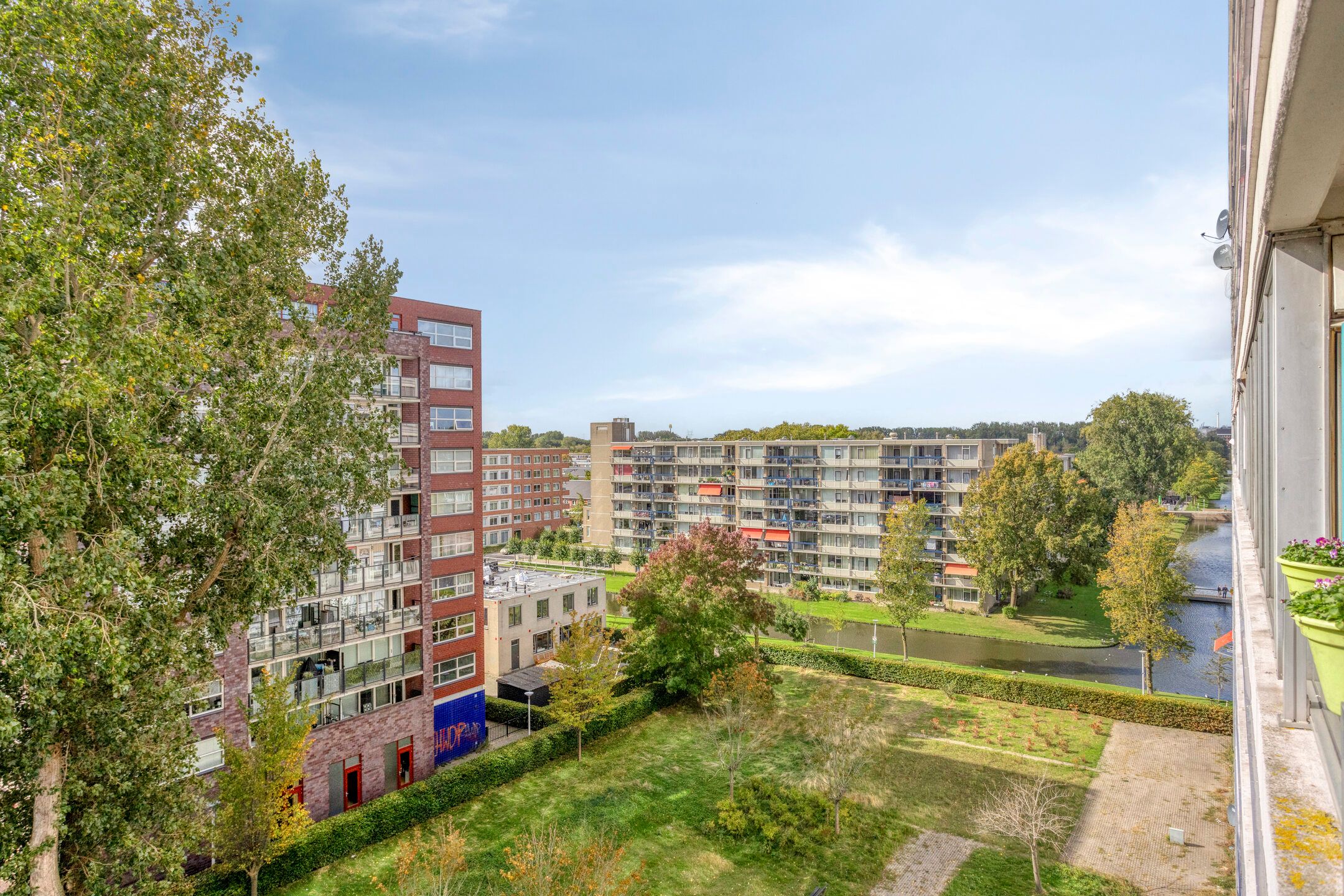 Photo 15 of Plein 1953 135