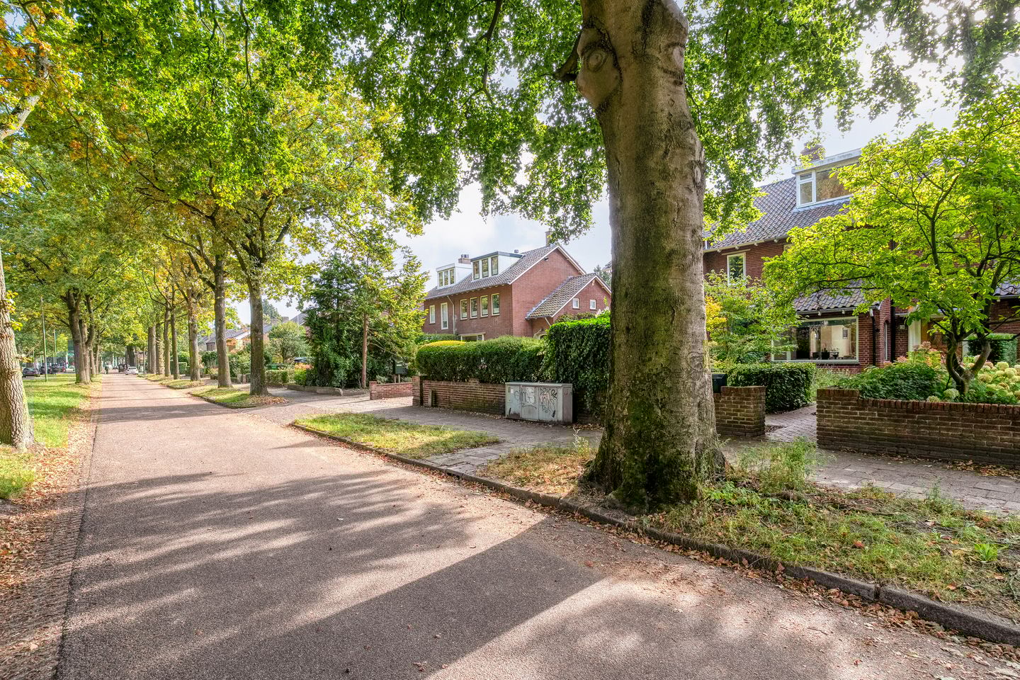 Photo 5 of Wipstrikkerallee 138