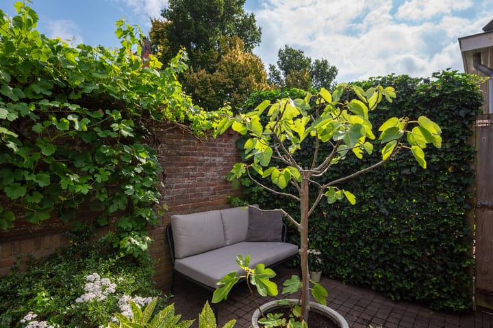 Foto 16 van Trompstraat 24