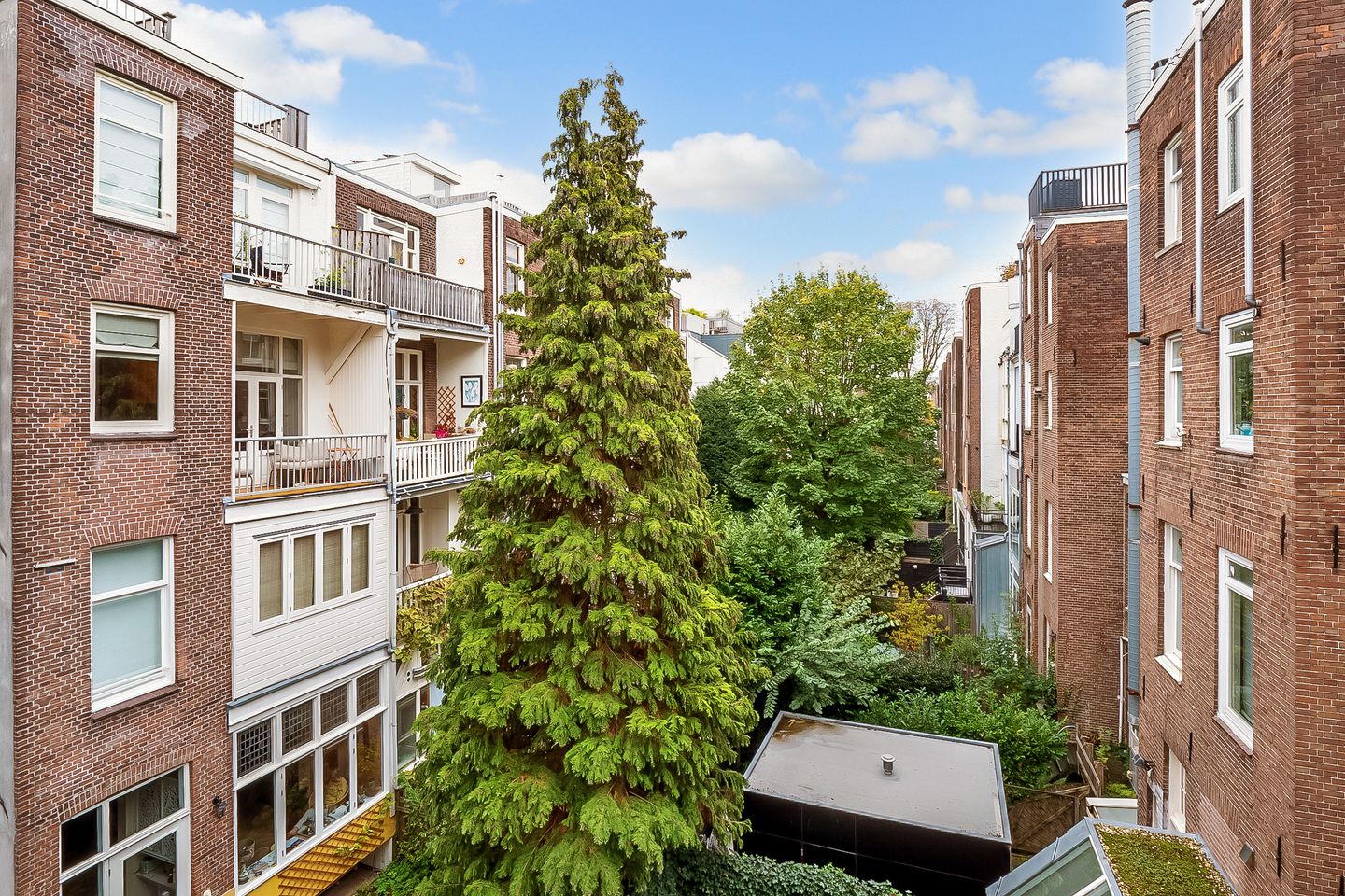 Foto 19 van Cornelis Schuytstraat 41-2