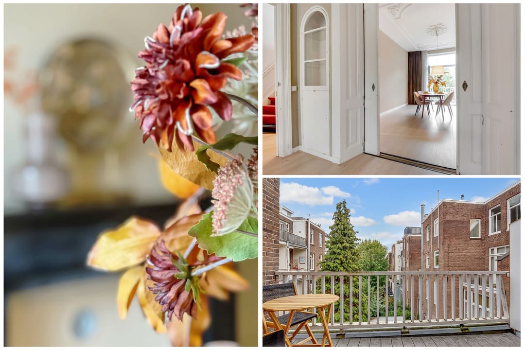 Foto 22 van Cornelis Schuytstraat 41-2