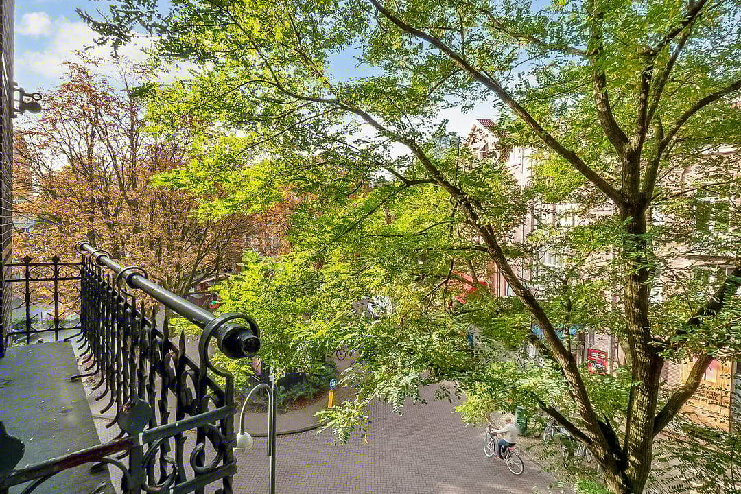 Foto 13 van Cornelis Schuytstraat 41-2