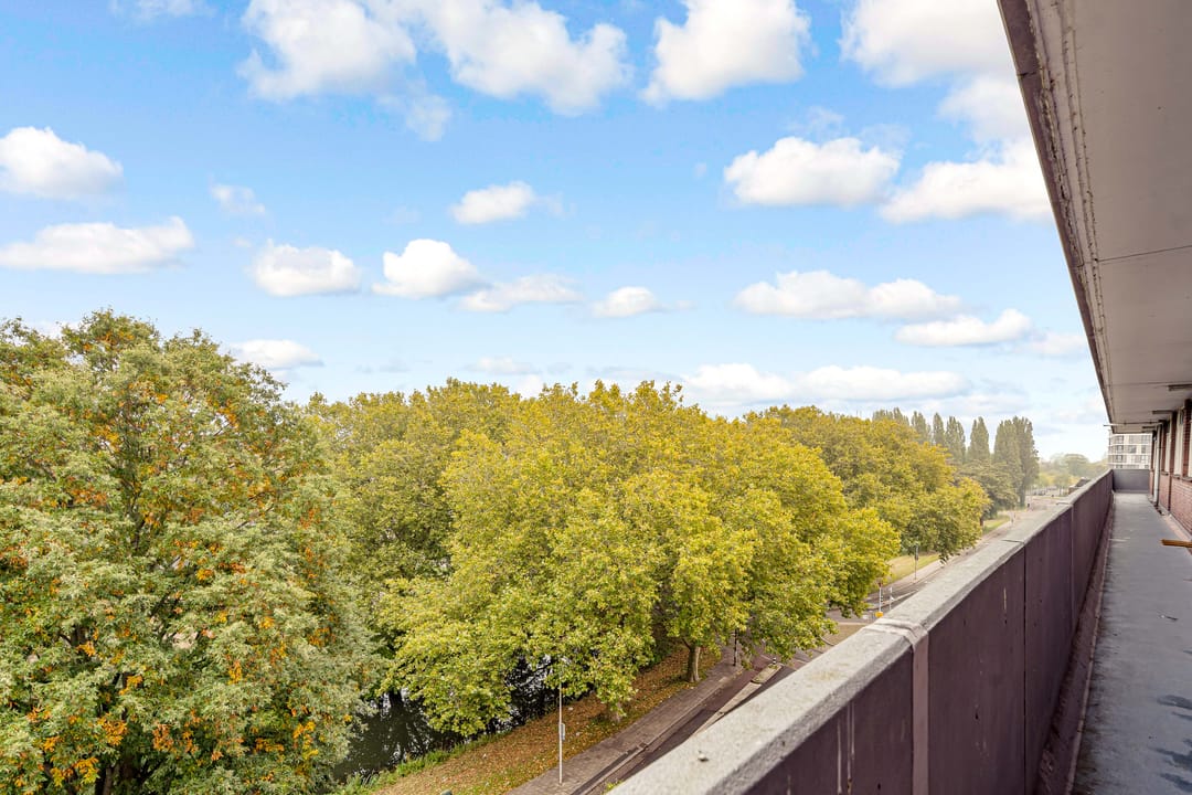 Foto 26 van Marco Pololaan 313