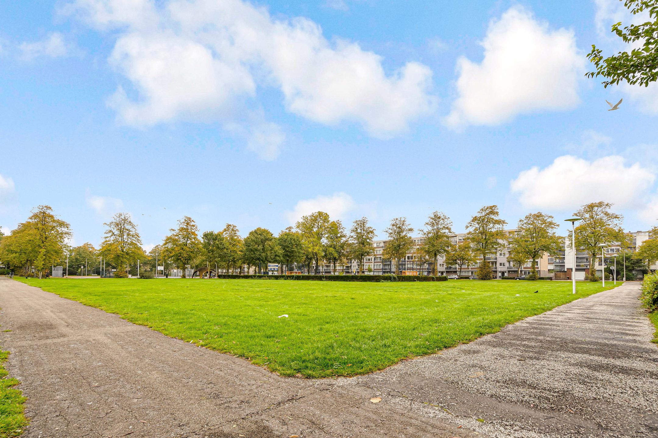 Foto 30 van Marco Pololaan 313