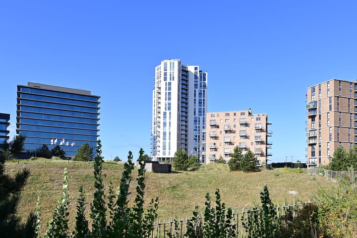 Foto 2 van Zeeduinweg 540