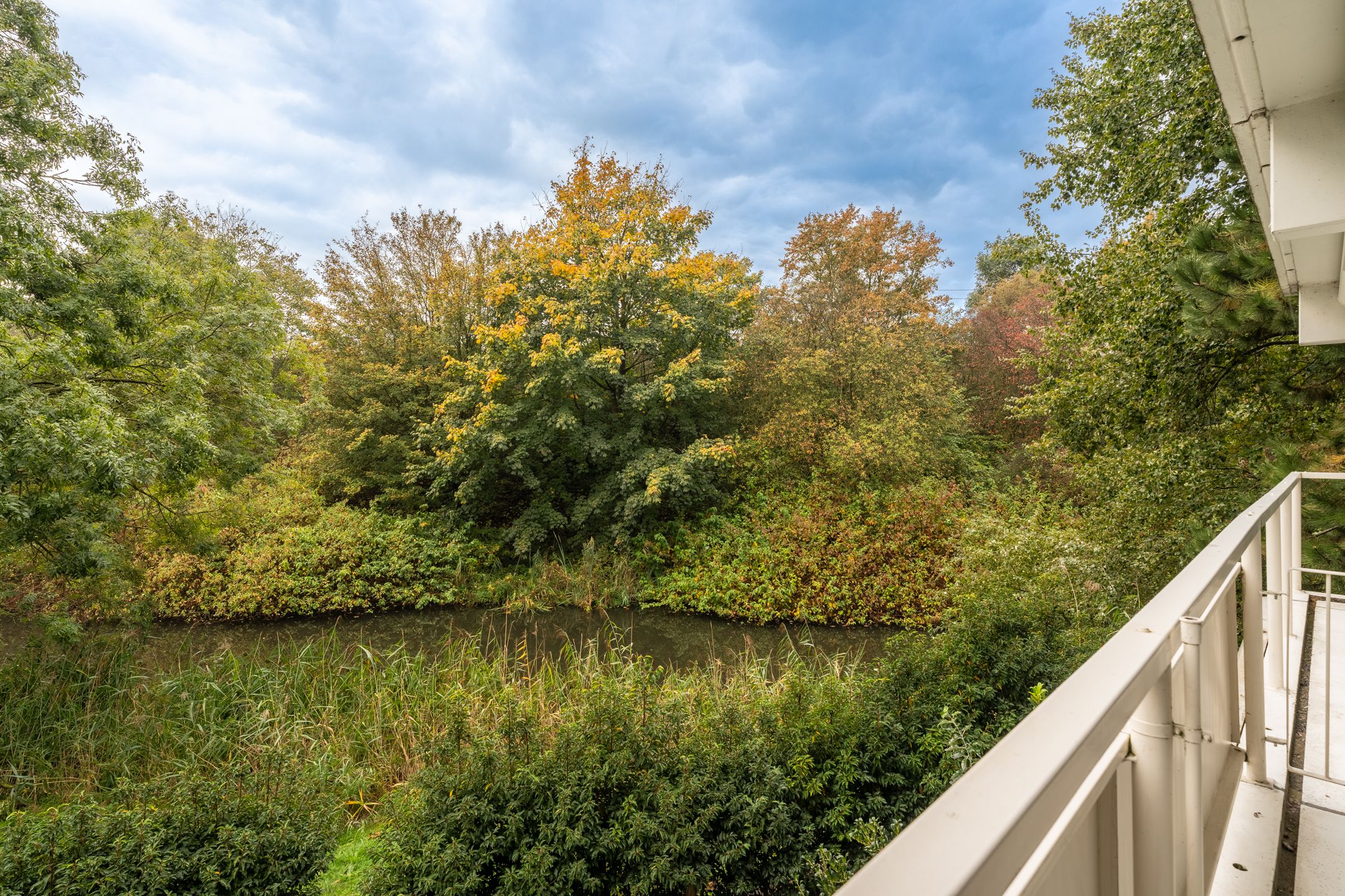 Foto 24 van Parnassiaveld 96